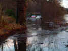 flood05.jpg (71261 bytes)